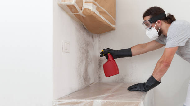 Professional Bathroom Mold Removal technician working in Caldwell, TX